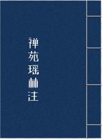 禅苑瑶林注