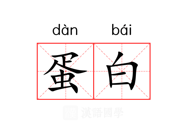 蛋白 蛋白