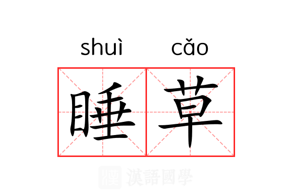 睡草 睡草
