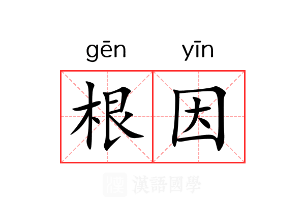 根因 根因