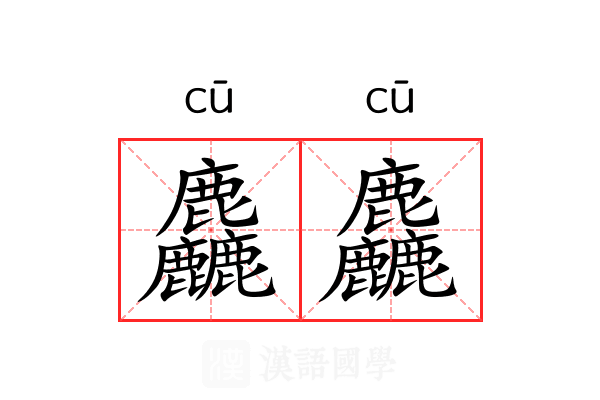 麤麤