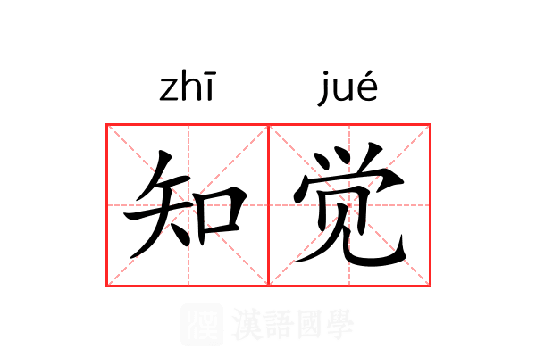 知觉